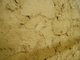 christchurch -1608.jpg